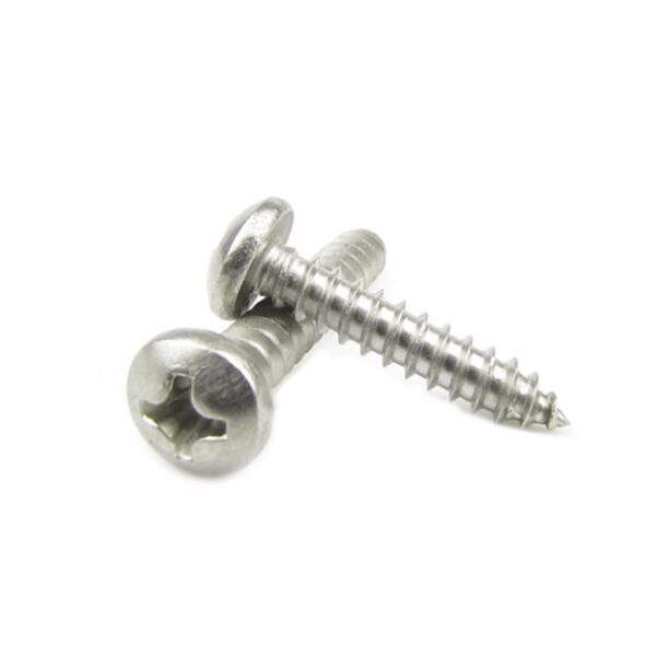 M6 SS 6X13 mm Self Tapping Philips Head Mounting Screw
