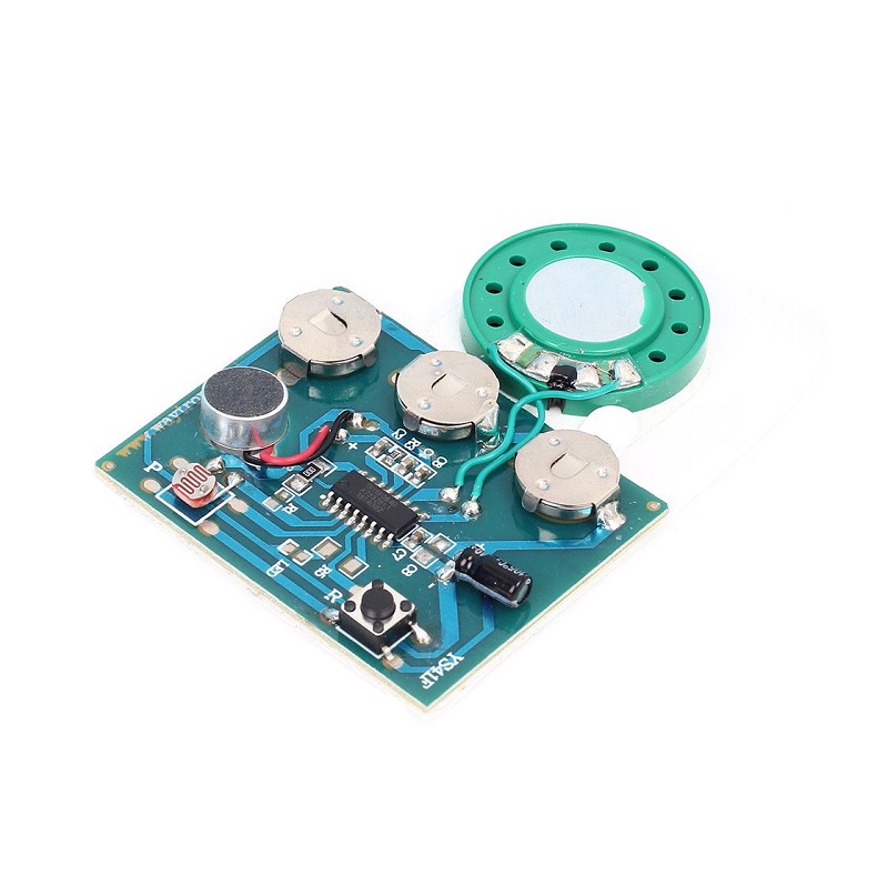 30S Sound Voice Music Recorder Board Photosensitive Wired Double Button  Control Programmable Chip Audio Module | Sharvielectronics: Best Online 
