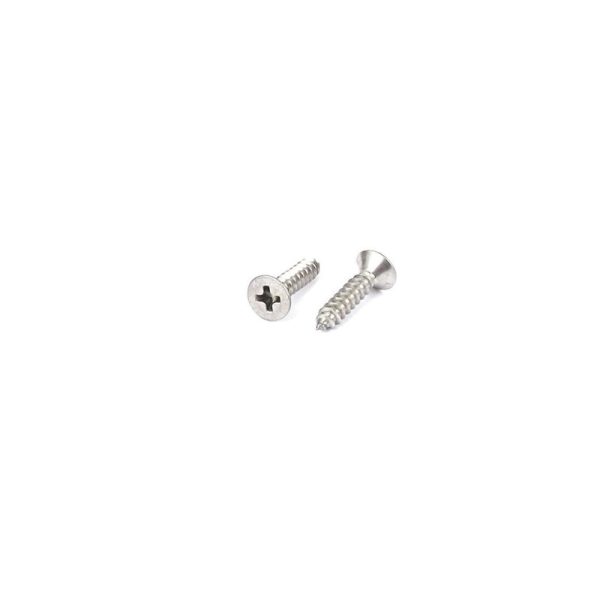 M2X6 mm SS Self Tapping Philips Head Mounting Countersunk Screw